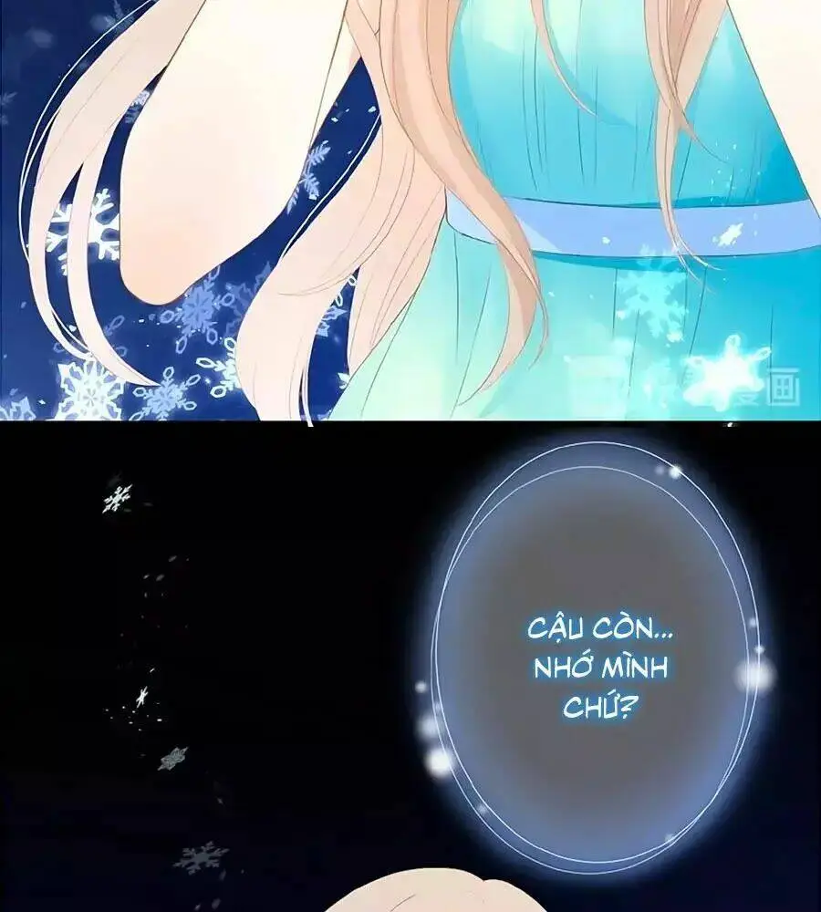 Chapter 14