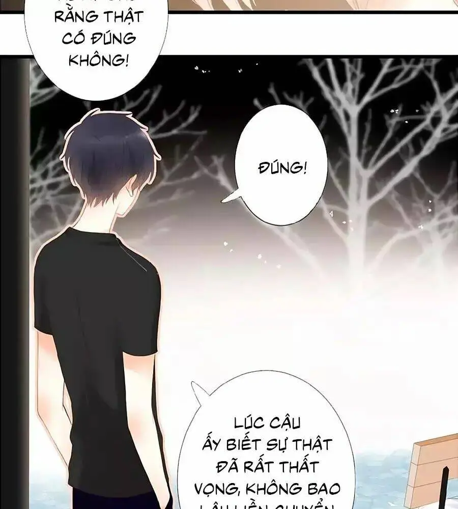 Chapter 13