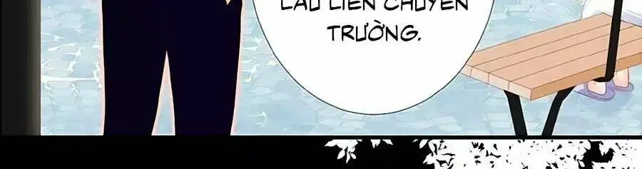 Chapter 13
