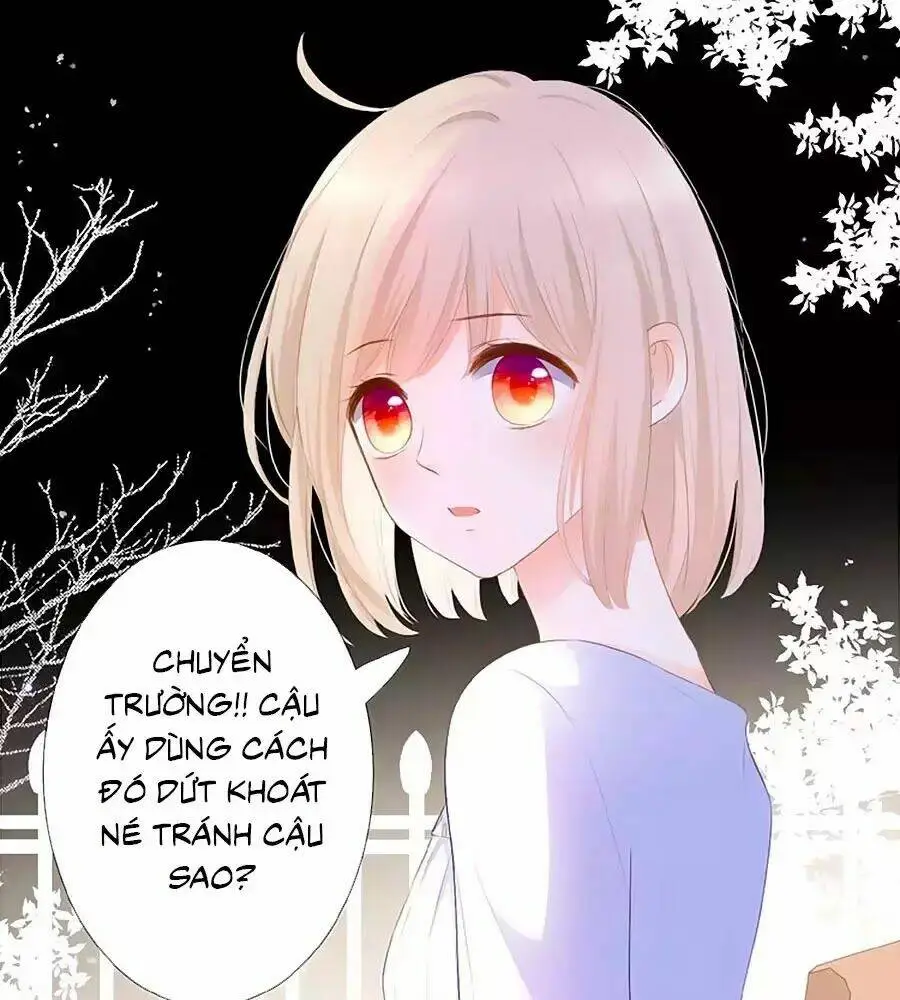 Chapter 13