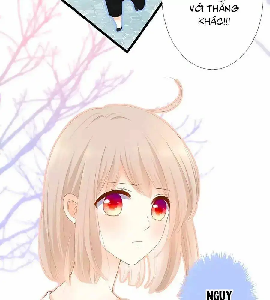 Chapter 13