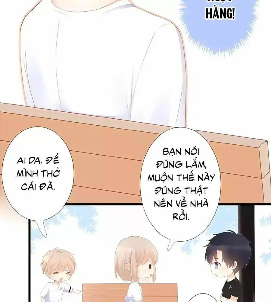 Chapter 13