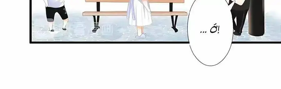 Chapter 13