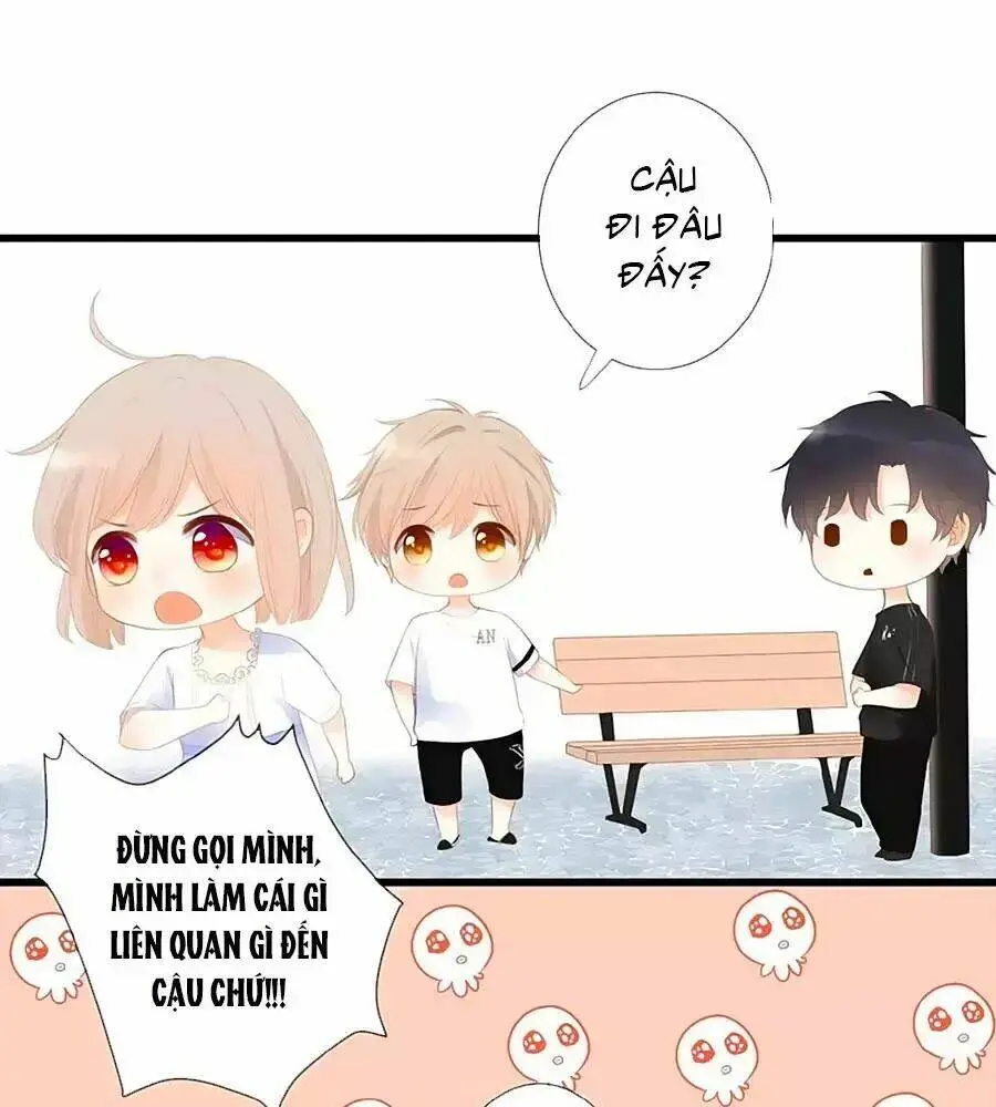 Chapter 13
