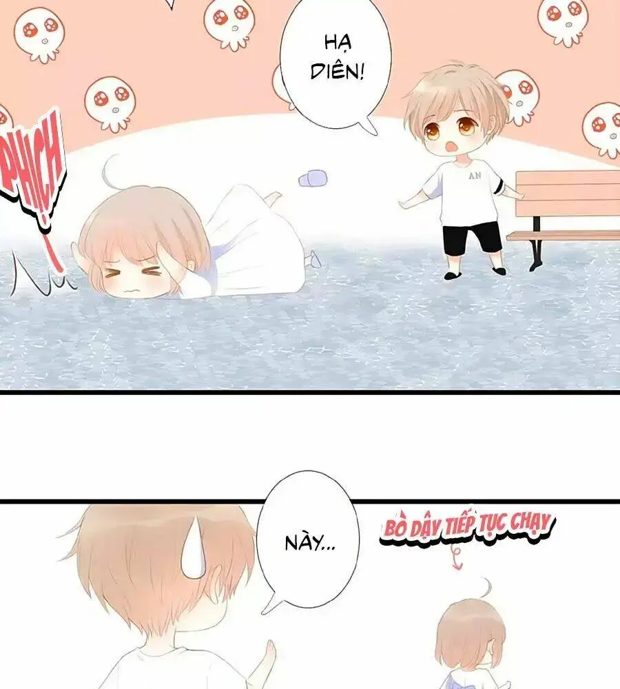 Chapter 13