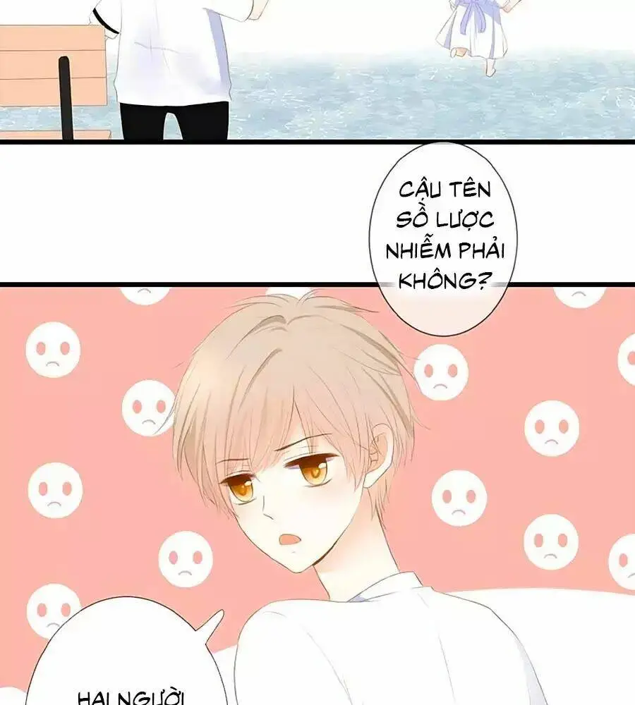 Chapter 13