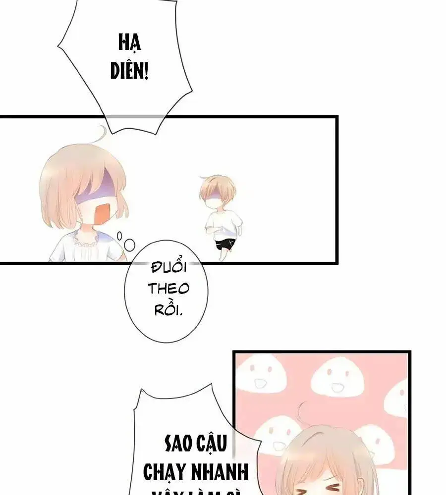 Chapter 13