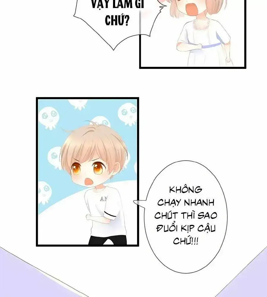 Chapter 13