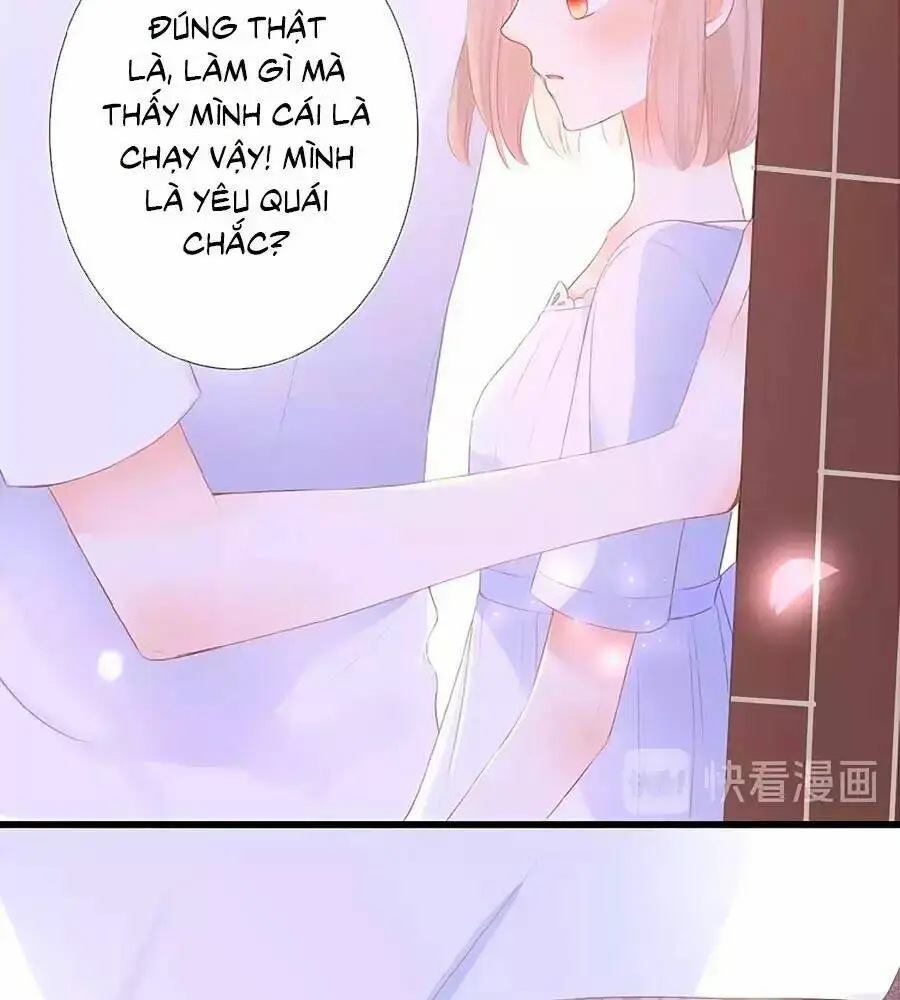 Chapter 13