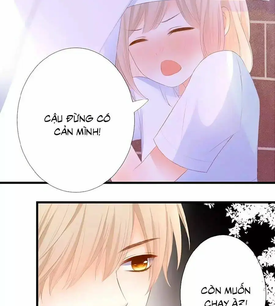 Chapter 13