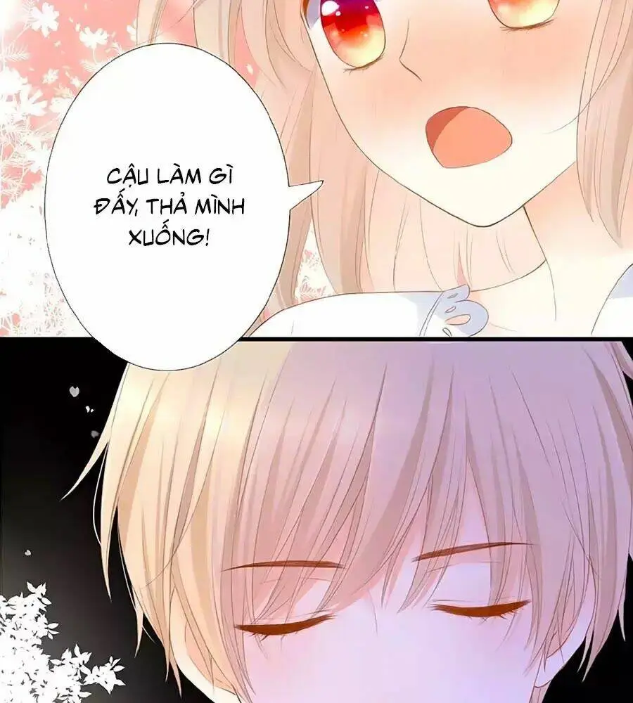 Chapter 13