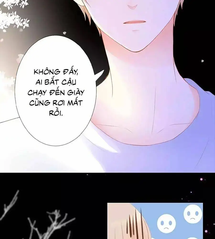 Chapter 13