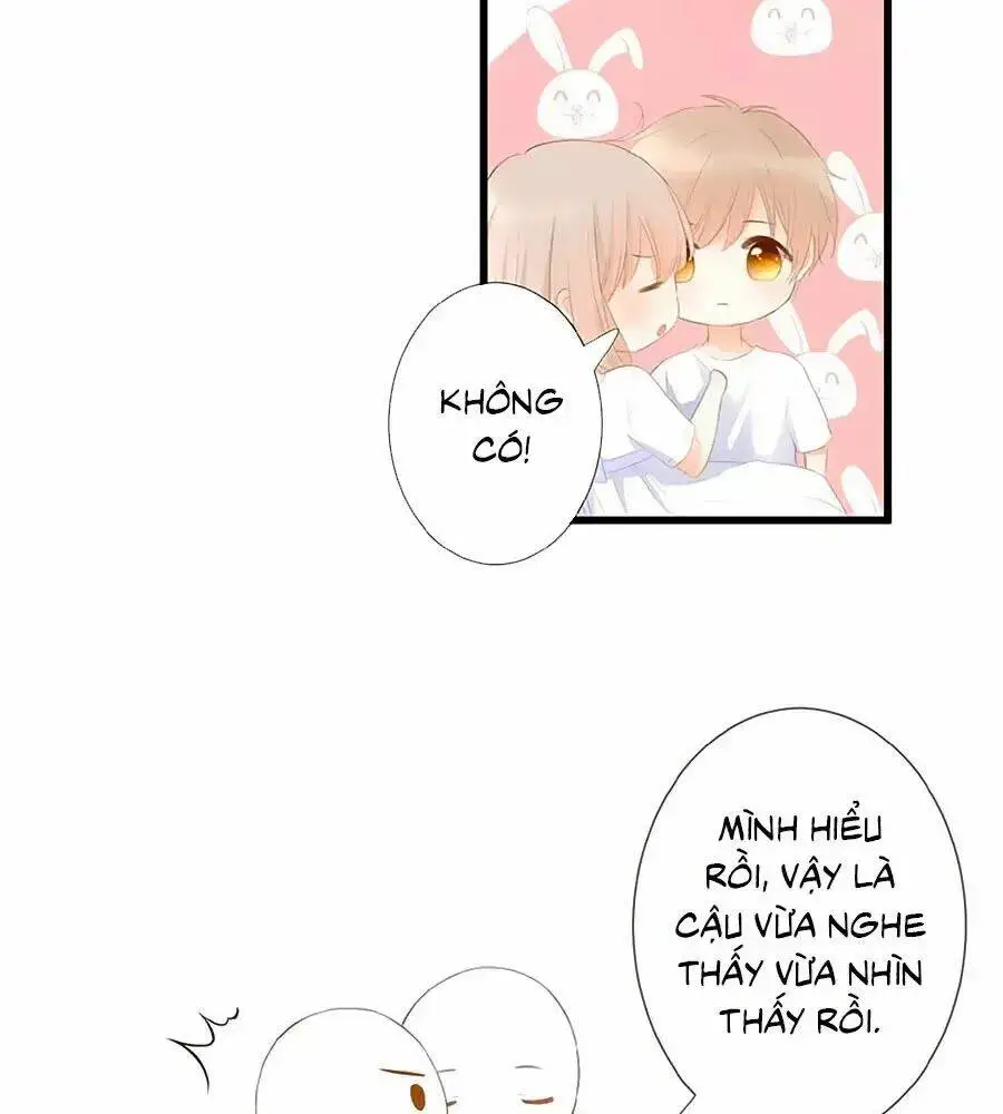 Chapter 13