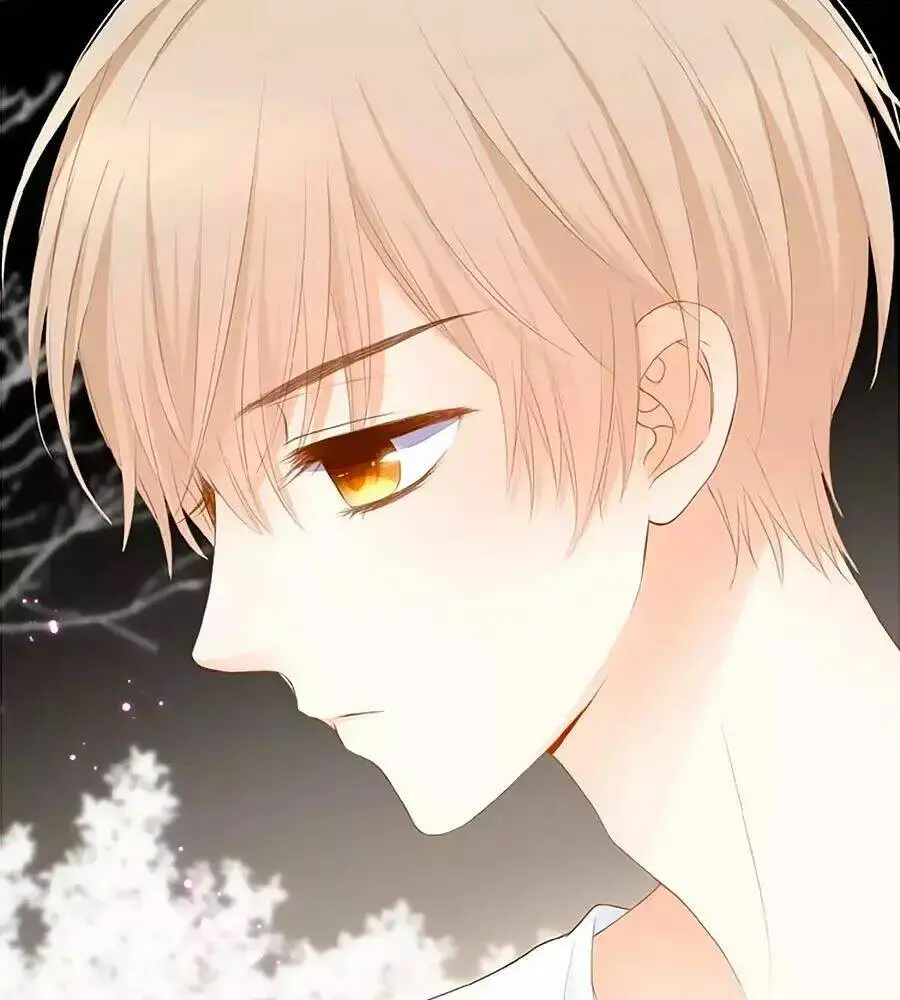Chapter 13