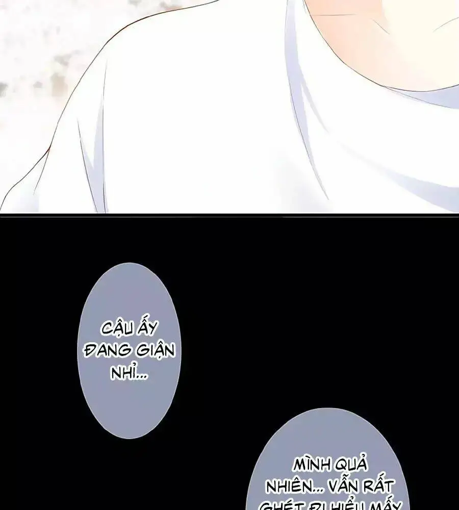 Chapter 13