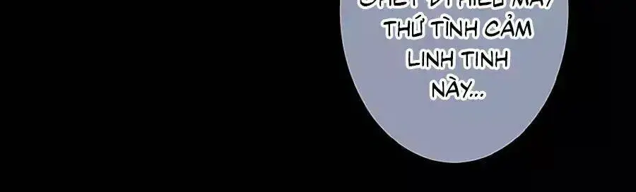 Chapter 13