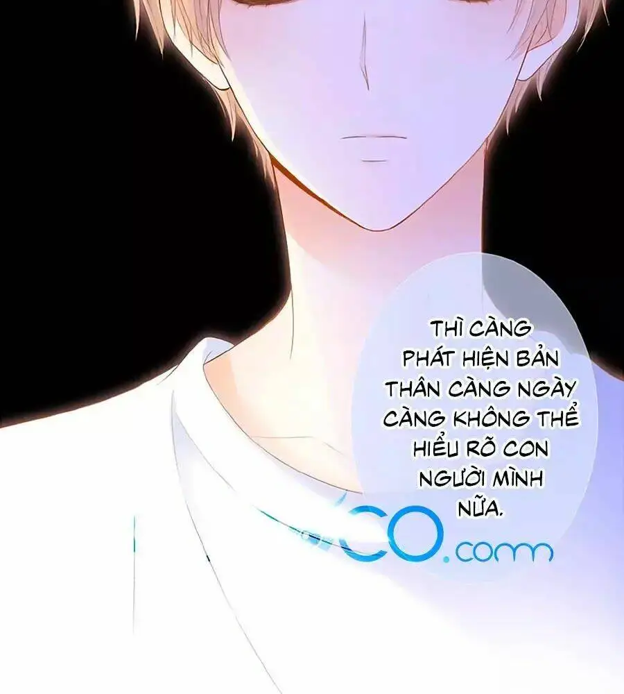 Chapter 13
