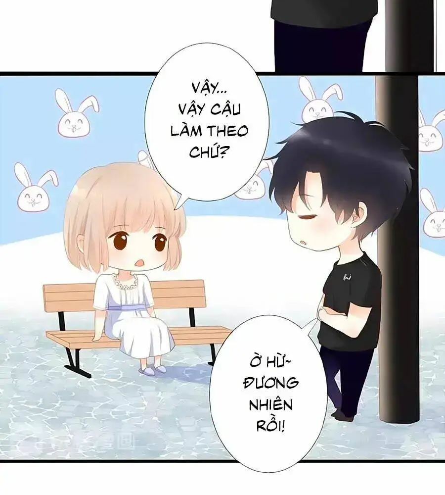 Chapter 13
