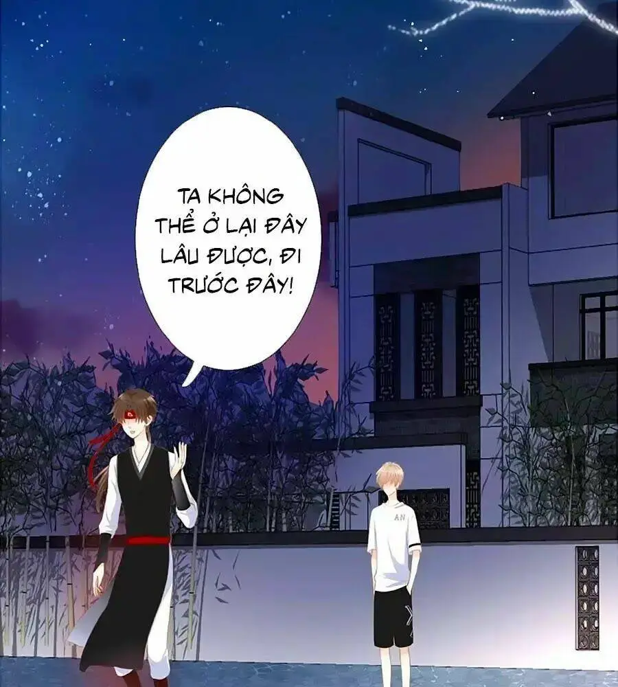 Chapter 12