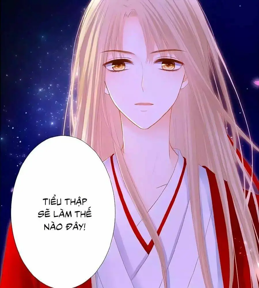 Chapter 12