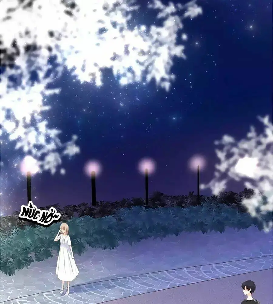 Chapter 12