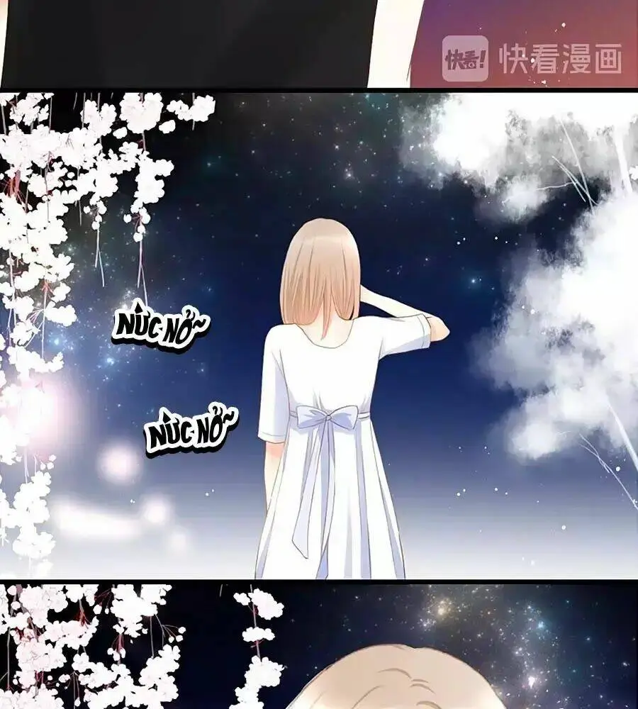 Chapter 12