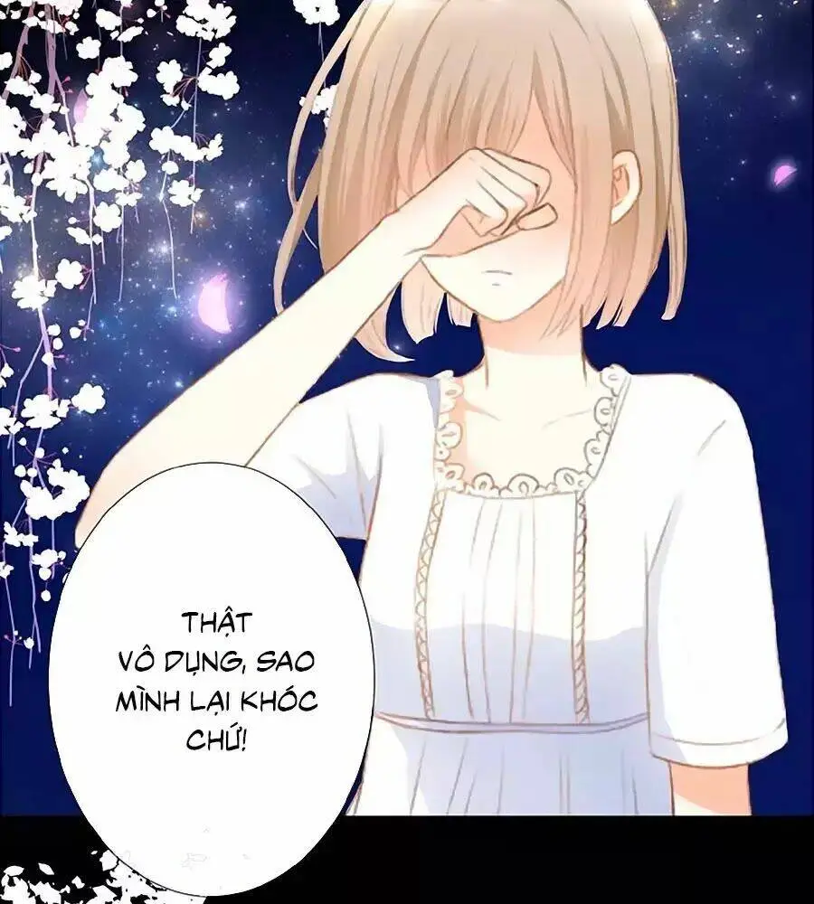 Chapter 12