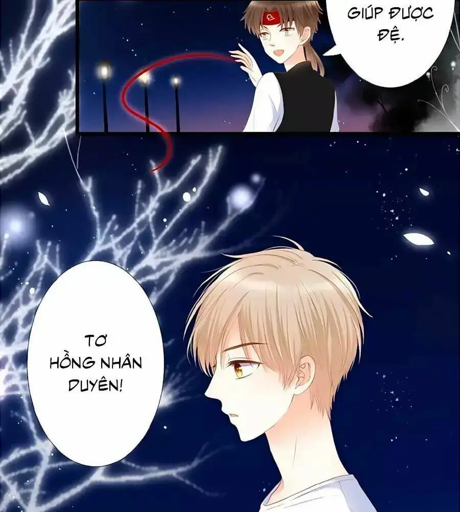Chapter 12
