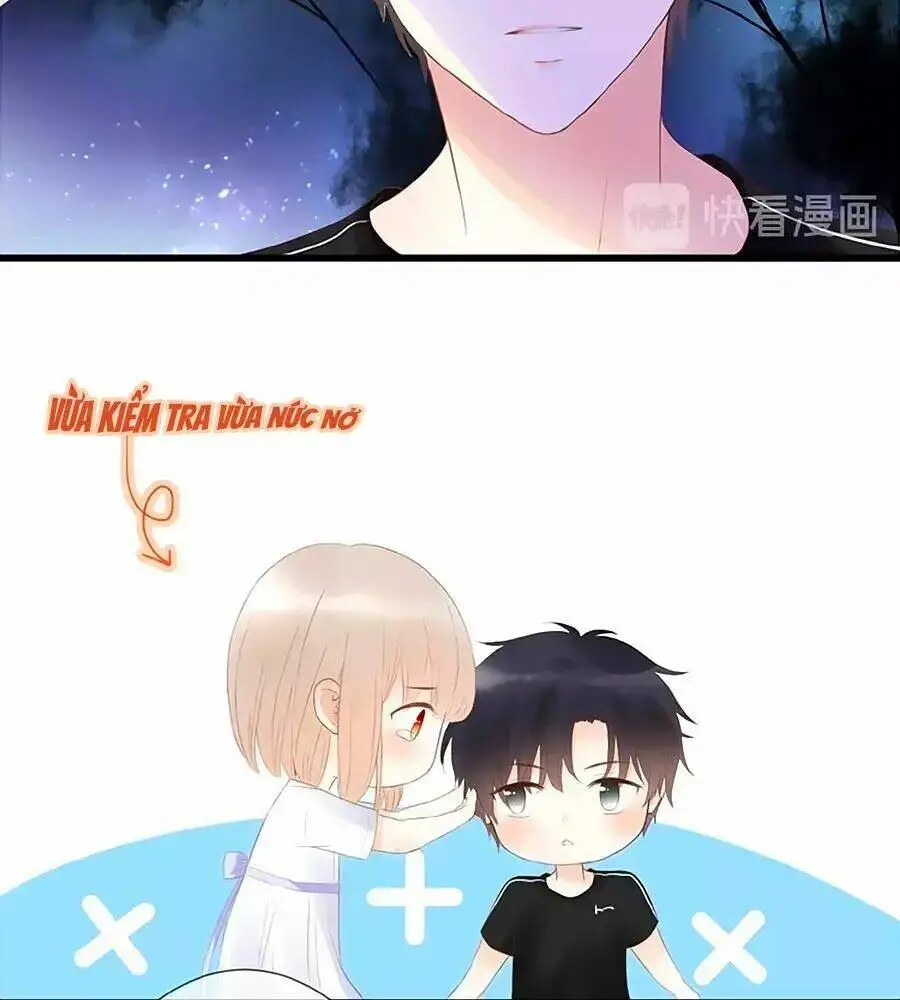 Chapter 12