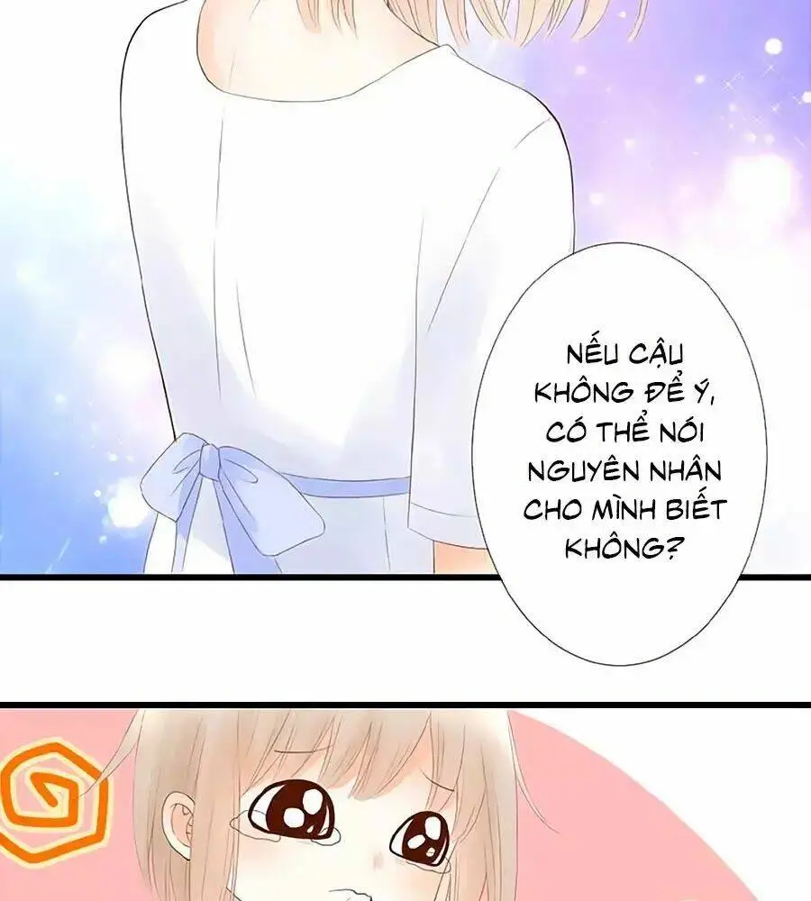 Chapter 12