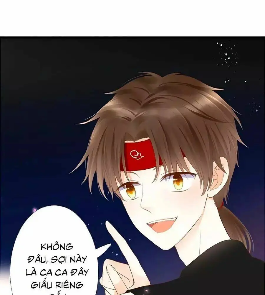 Chapter 12