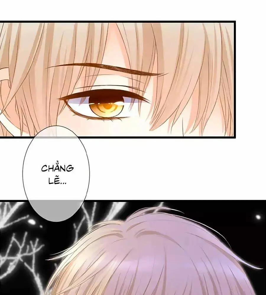 Chapter 12
