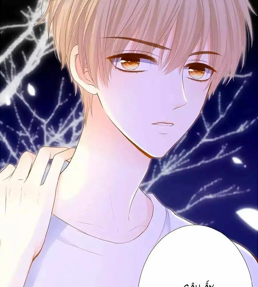 Chapter 12