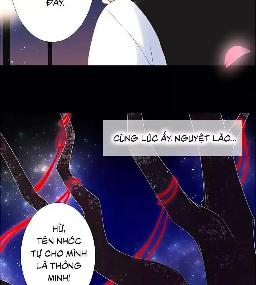 Chapter 12