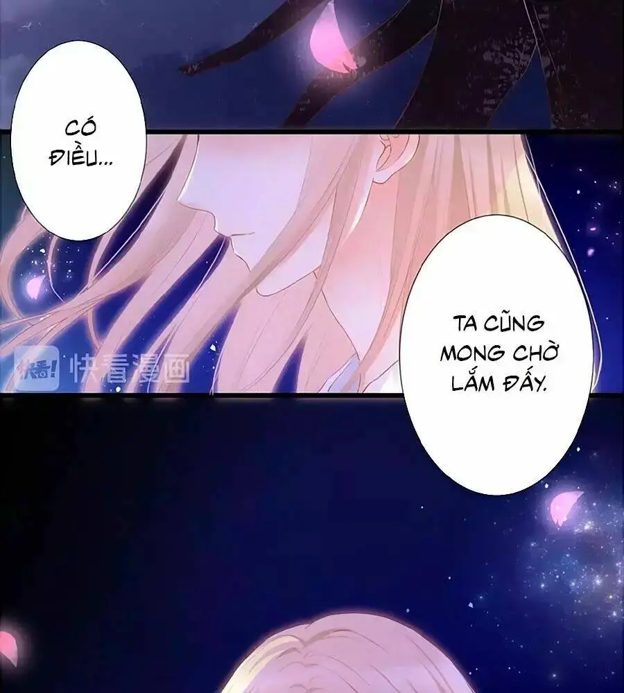 Chapter 12