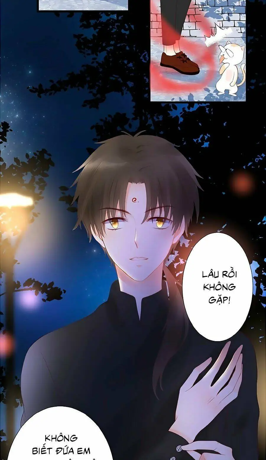 Chapter 11
