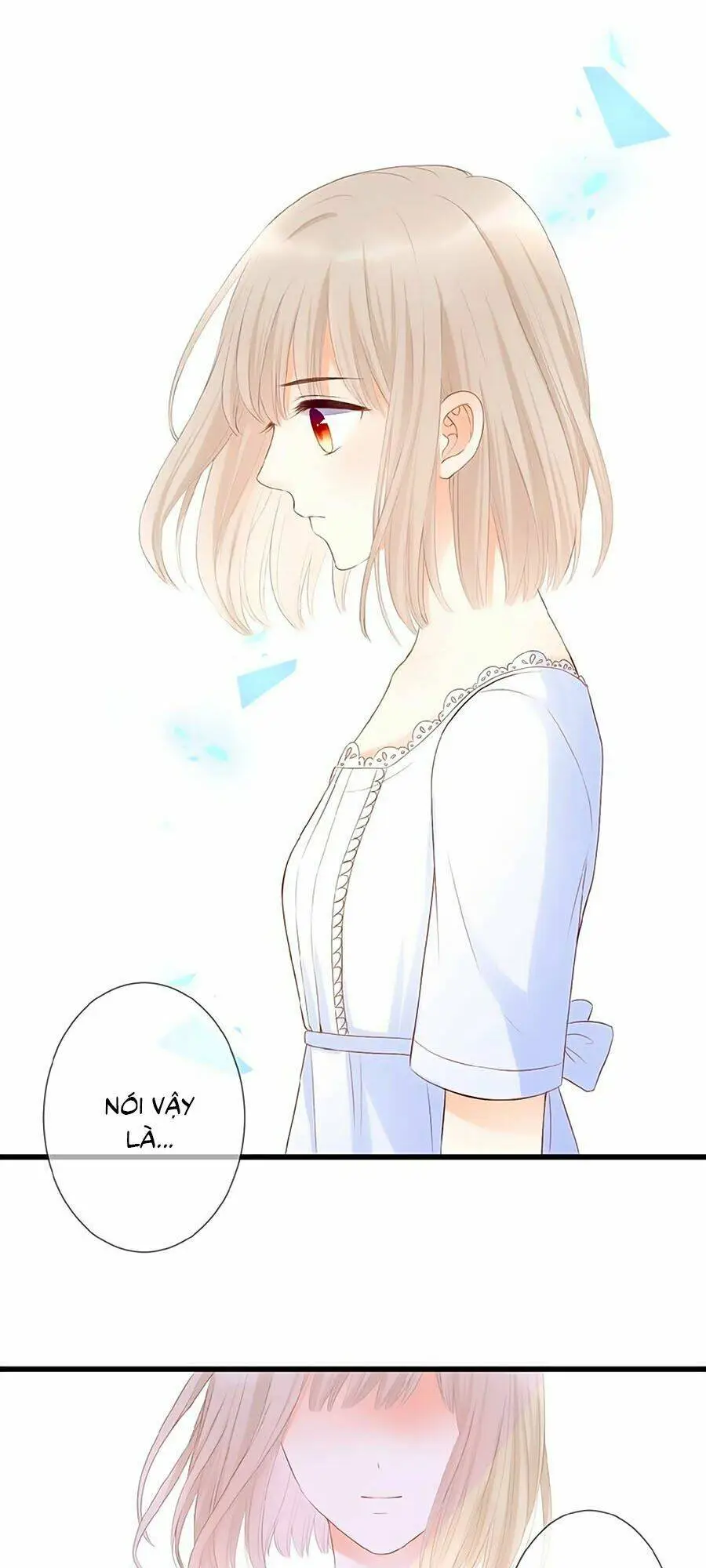 Chapter 11