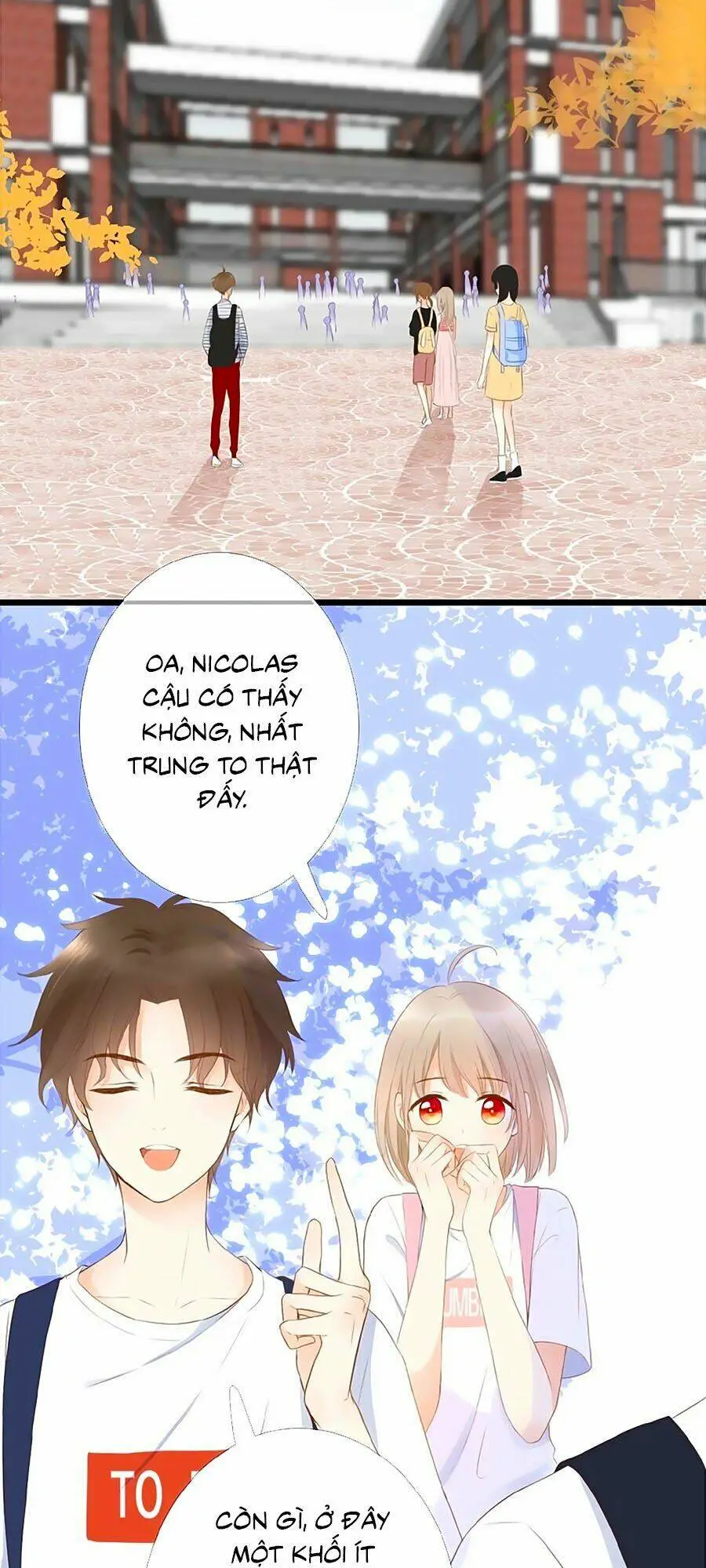 Chapter 8