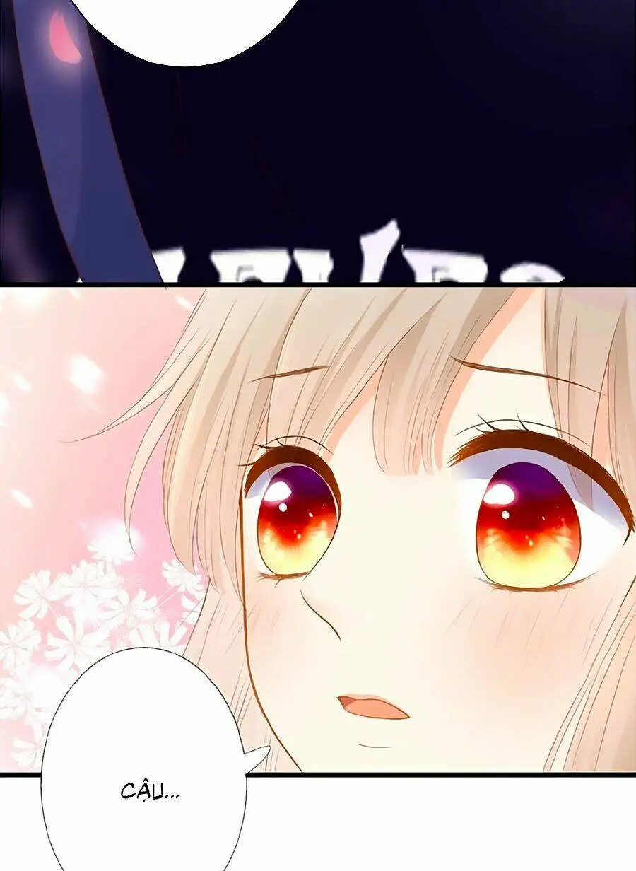 Chapter 7