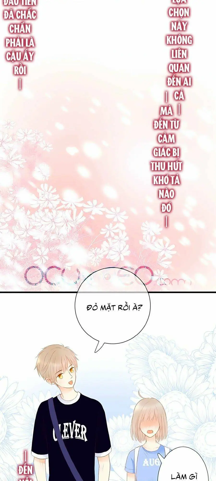 Chapter 7