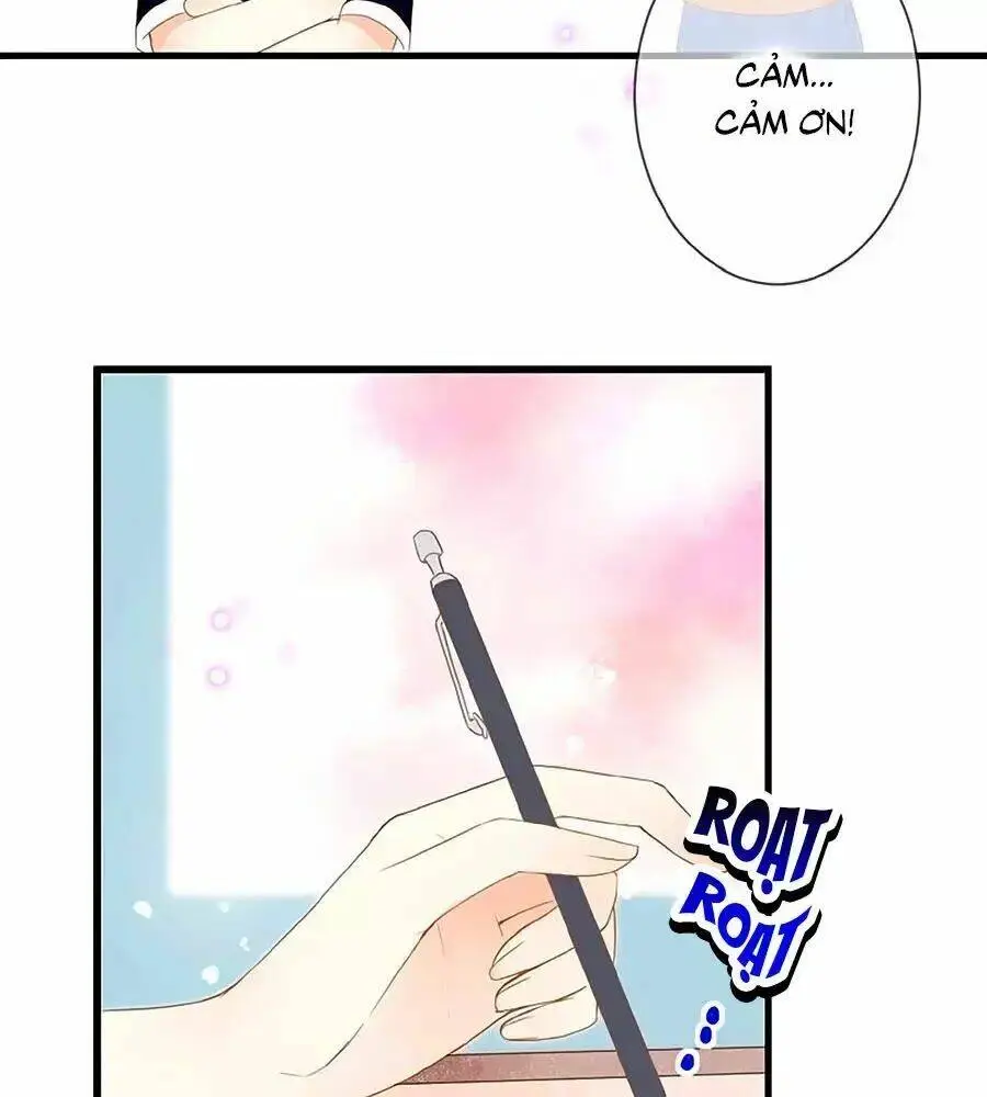 Chapter 6