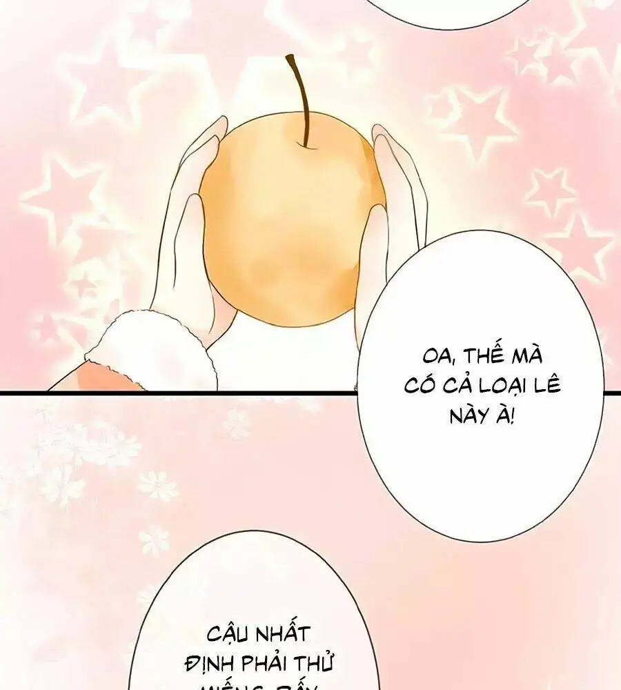 Chapter 5