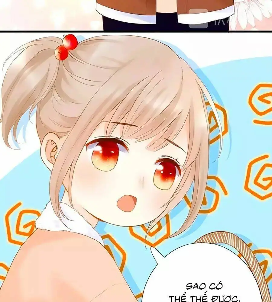 Chapter 5