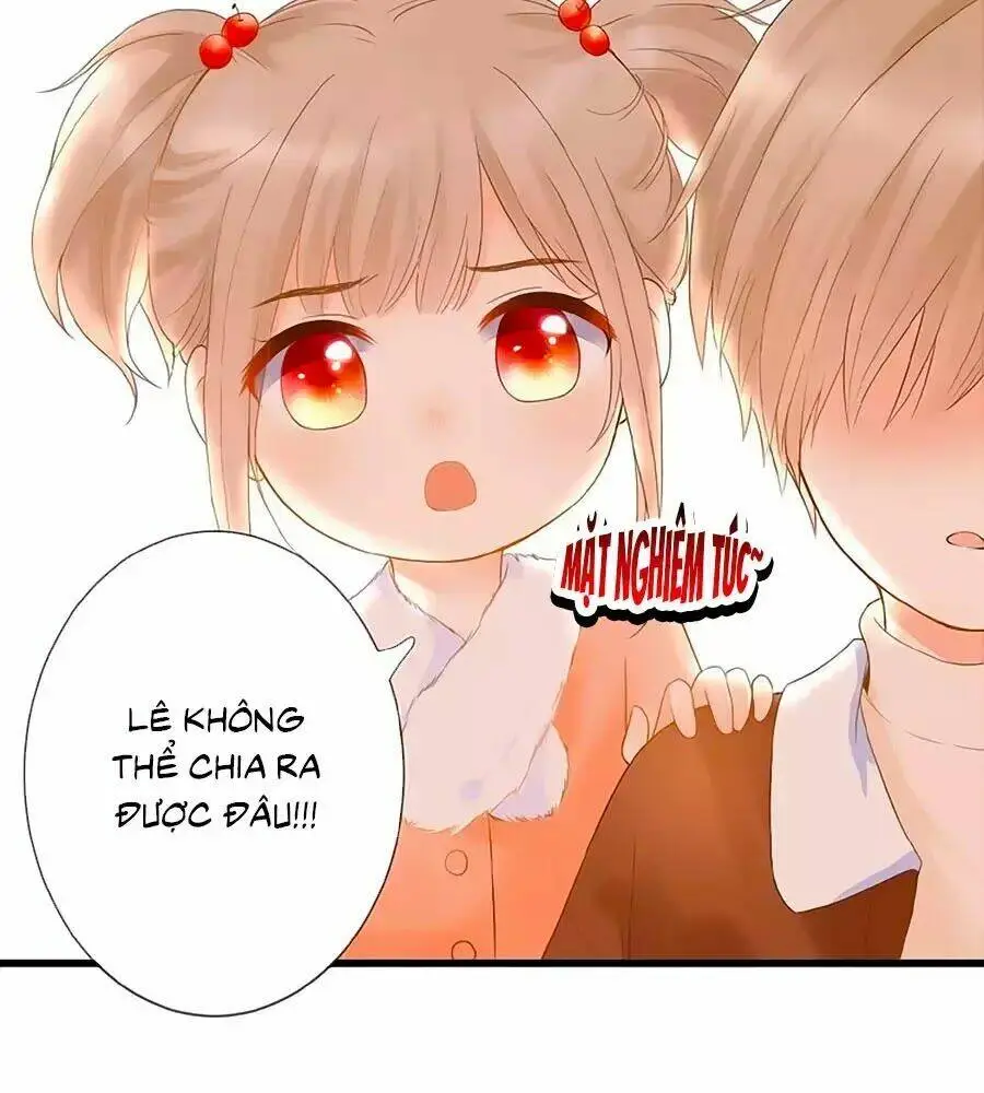Chapter 5