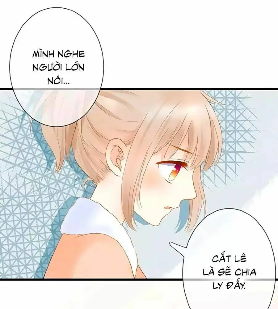 Chapter 5