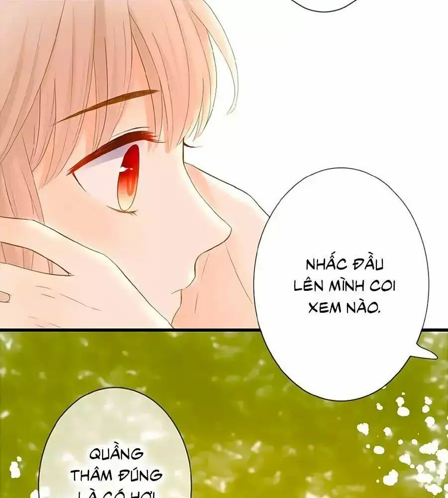 Chapter 5