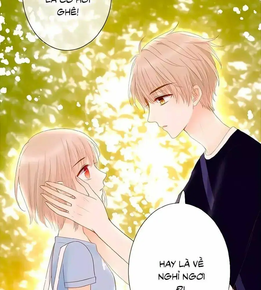 Chapter 5