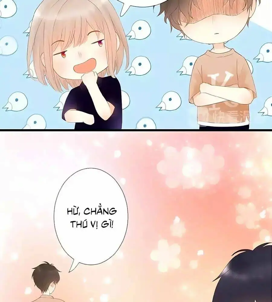 Chapter 4