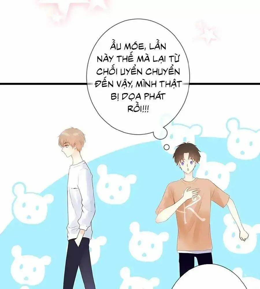 Chapter 4