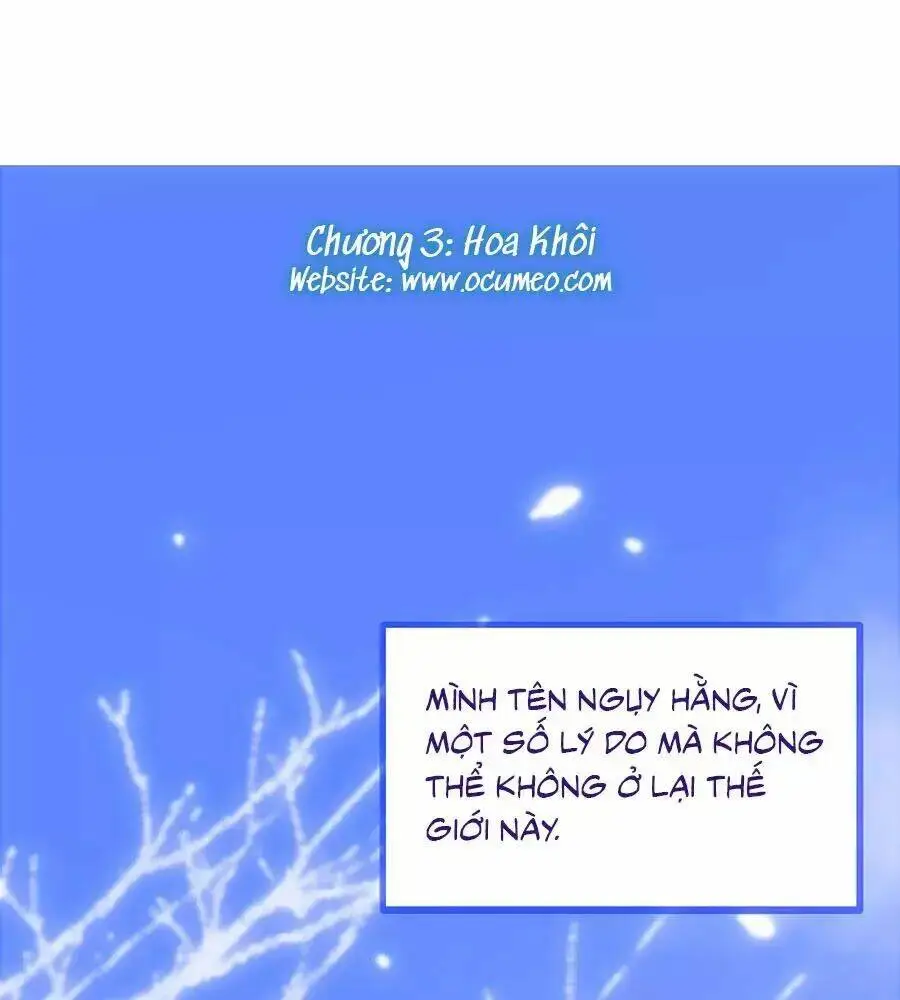 Chapter 3